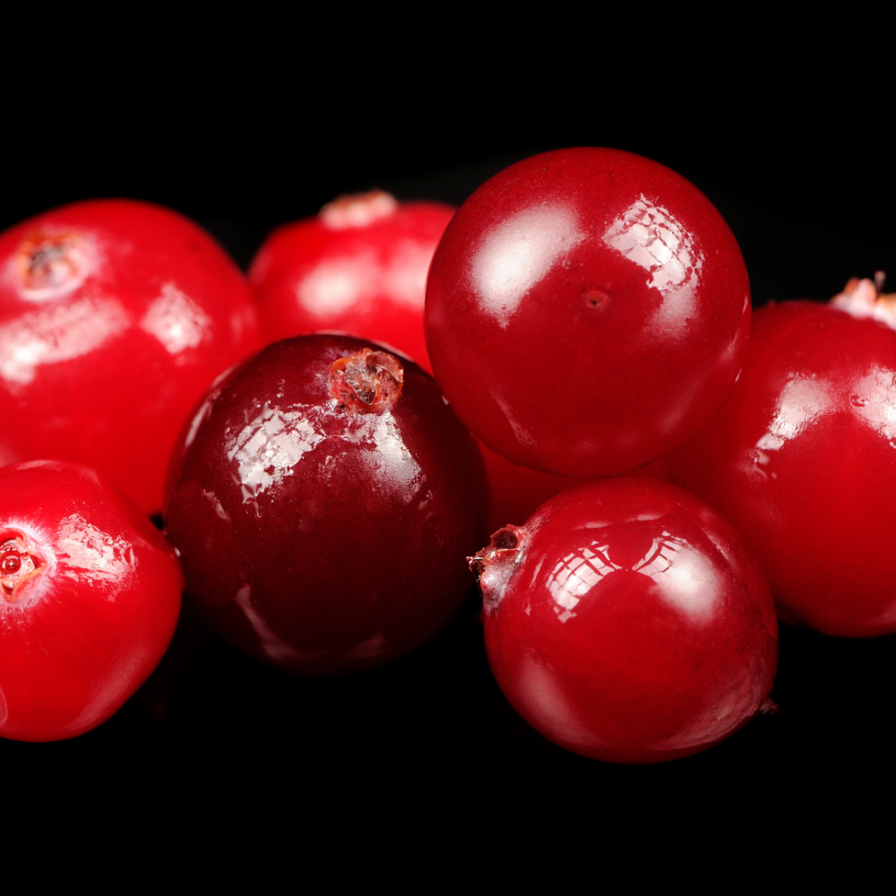 Raspberry and Cranberry Wax Melt