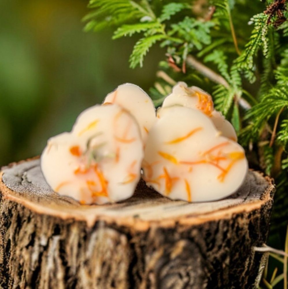 Are Woody Scents the Key to Sophistication and Luxury? Best Wax melts Bristol